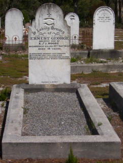 Full-size image