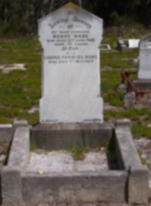 Full-size image