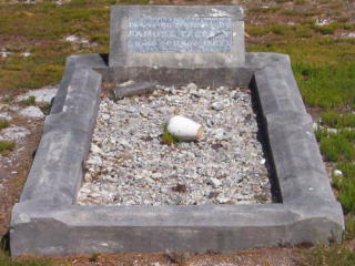 Full-size image