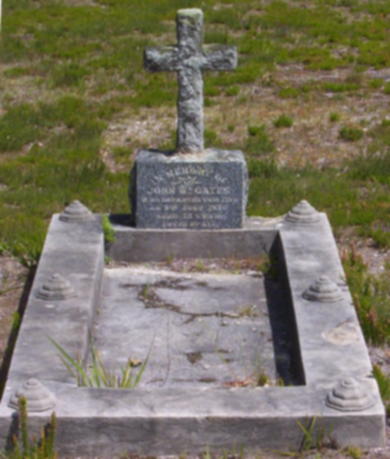 Full-size image