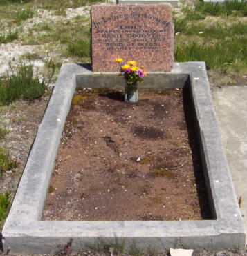 Full-size image