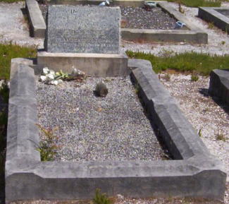Full-size image