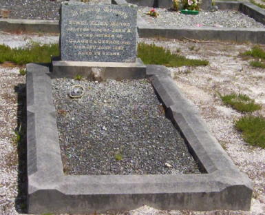 Full-size image