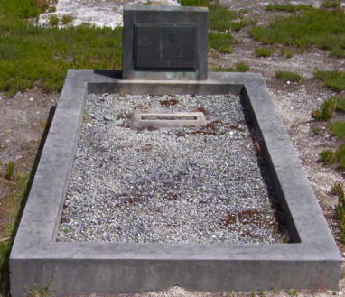 Full-size image