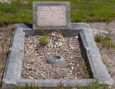Full-size image