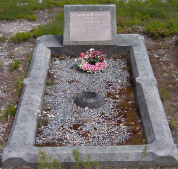 Full-size image