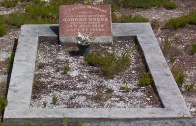 Full-size image