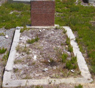 Full-size image
