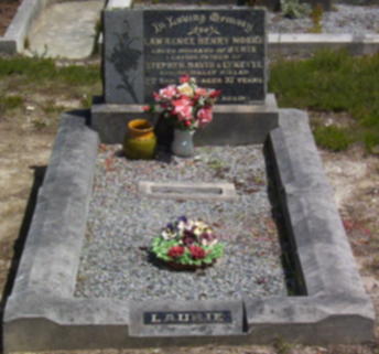 Full-size image