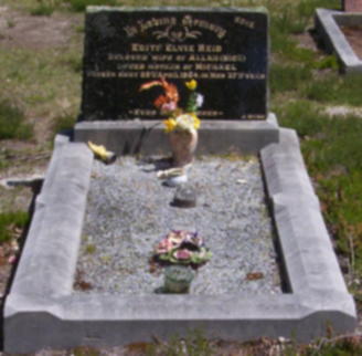 Full-size image