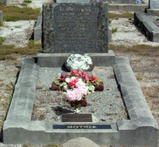 Full-size image