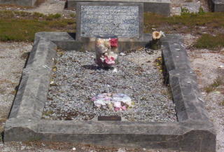 Full-size image