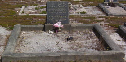 Full-size image