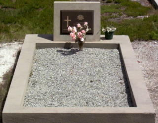 Full-size image