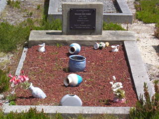 Full-size image