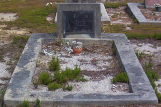 Full-size image