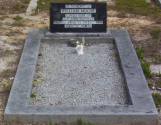 Full-size image