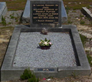 Full-size image