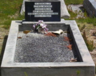 Full-size image