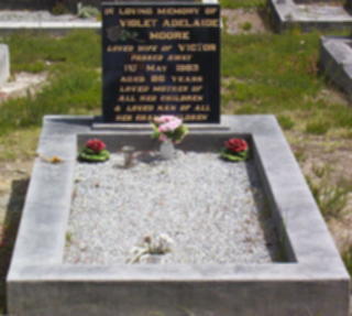 Full-size image
