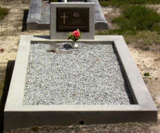 Full-size image
