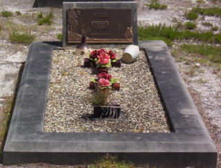 Full-size image