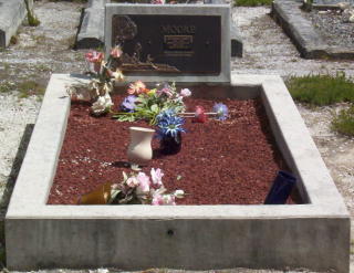 Full-size image
