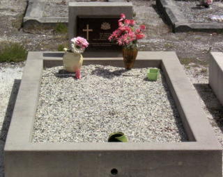Full-size image