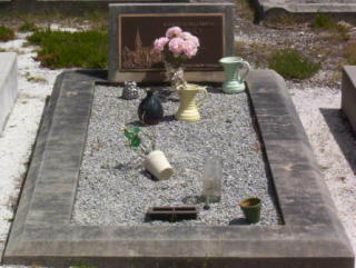 Full-size image