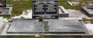Full-size image