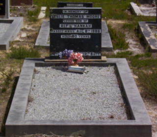 Full-size image