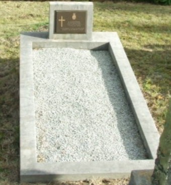 Full-size image