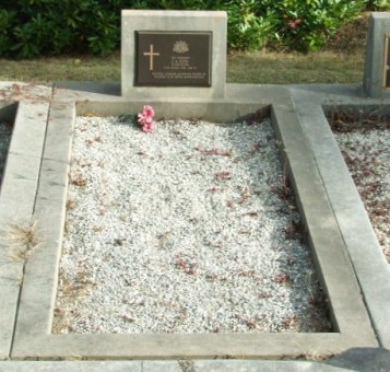 Full-size image