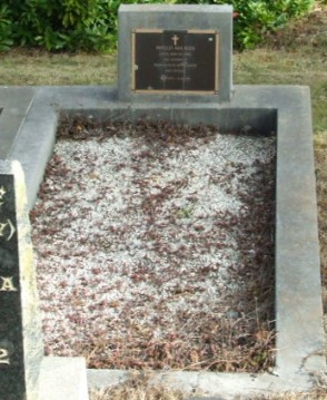 Full-size image