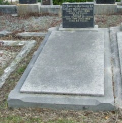 Full-size image