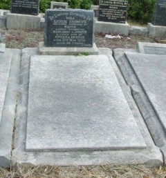 Full-size image