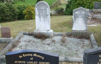 Full-size image