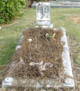 Full-size image
