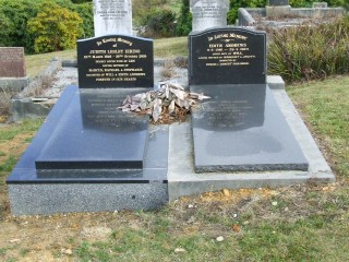 Full-size image