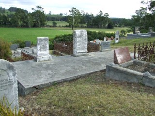 Full-size image