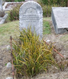 Full-size image
