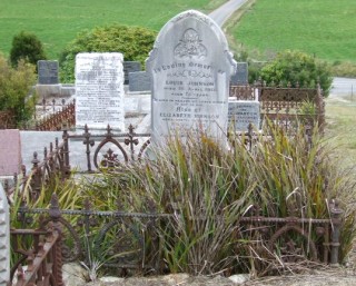 Full-size image