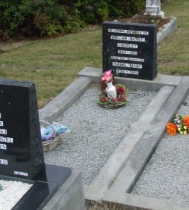 Full-size image