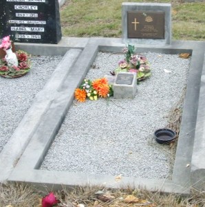 Full-size image