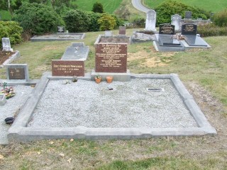 Full-size image