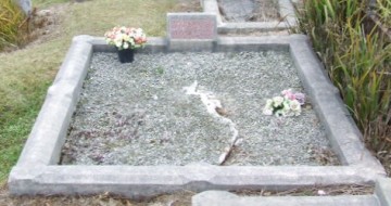 Full-size image