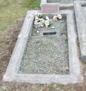 Full-size image