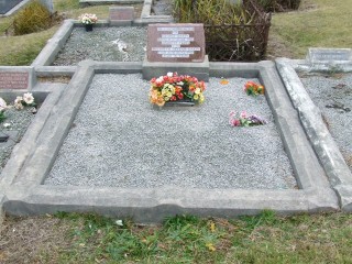 Full-size image