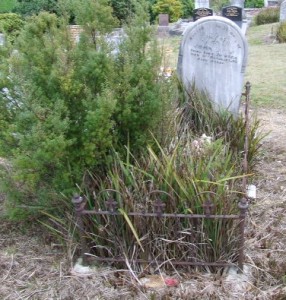 Full-size image