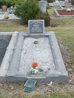 Full-size image